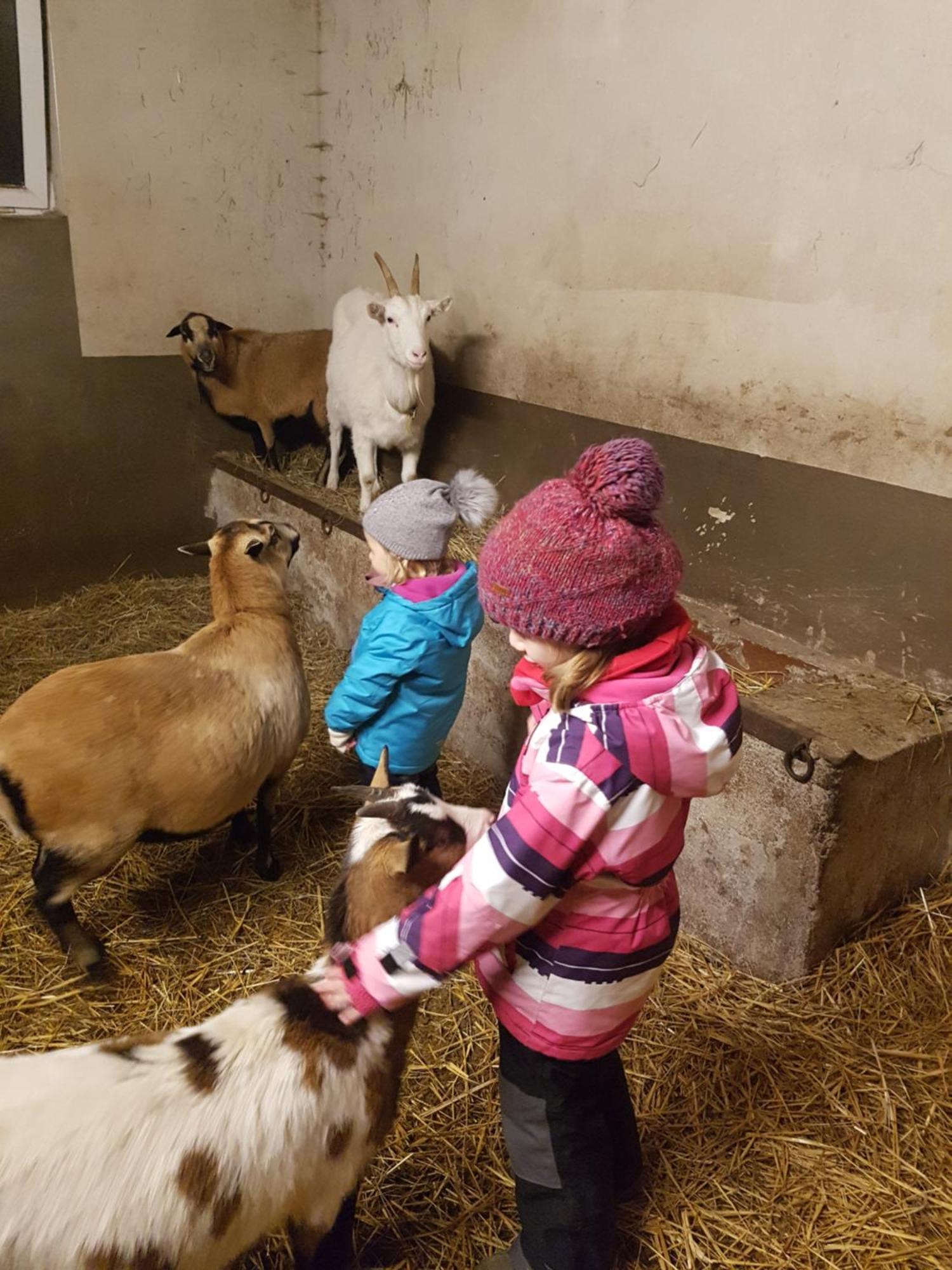 Appartamento Kastanienhof Hinterhermsdorf Esterno foto