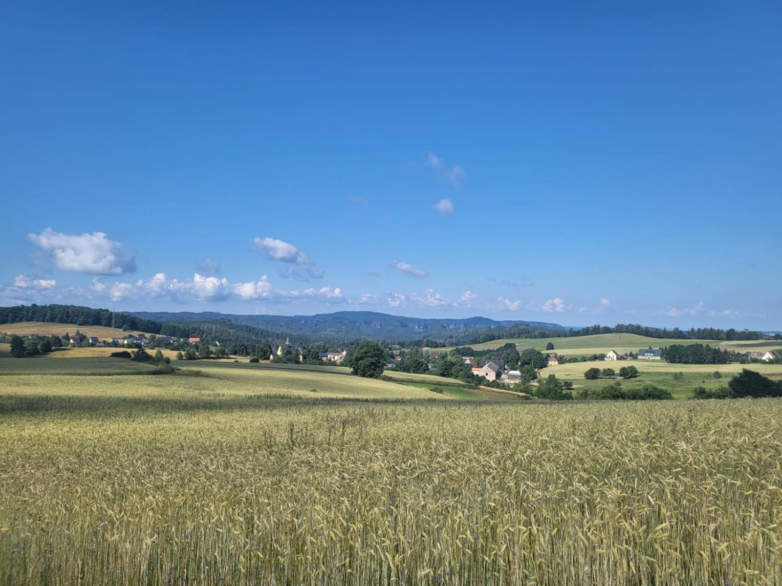 Appartamento Kastanienhof Hinterhermsdorf Esterno foto