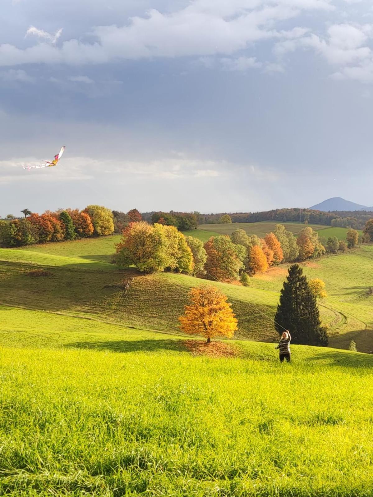 Appartamento Kastanienhof Hinterhermsdorf Esterno foto